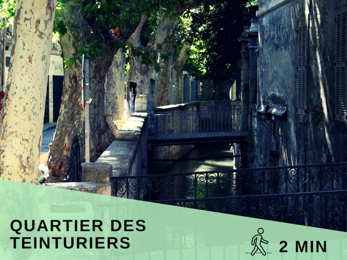 Aventure Avignonnaise - Authentique - Intramuros - City Center ภายนอก รูปภาพ
